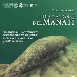 Sept 7 dia manati